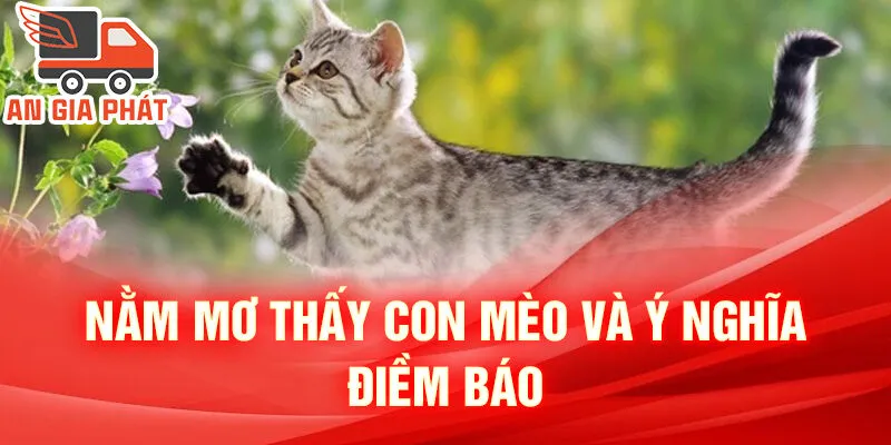 Nằm Mơ Thấy Con Mèo: Bí Ẩn Từ Tâm Trí Ngủ Quên 2 Nằm mơ thấy con mèo và ý nghĩa điềm báo