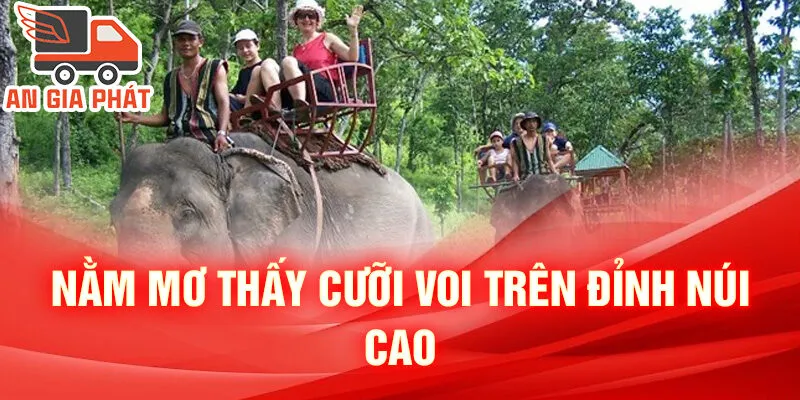 Nằm Mơ Thấy Cưỡi Voi: Dấu Hiệu Của Sự Đổi Thay 2 Nằm mơ thấy cưỡi voi trên đỉnh núi cao