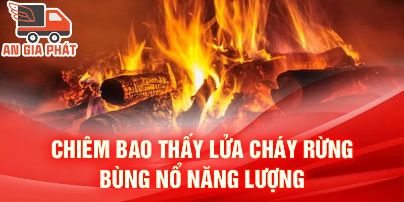 Nằm Mơ Thấy Lửa: Bí Ẩn, Giải Mã Và Dự Đoán Sâu Sắc 3 Chiêm bao thấy lửa cháy rừng bùng nổ năng lượng