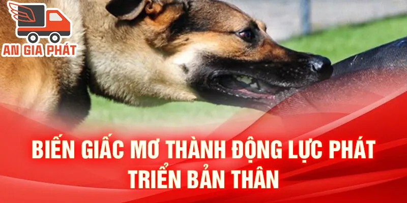 Nằm Mơ Thấy Chó Cắn: Khám Phá Ý Nghĩa Và Số Đẹp 4 Biến giấc mơ thành động lực phát triển bản thân