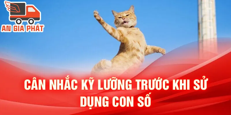 Nằm Mơ Thấy Con Mèo: Bí Ẩn Từ Tâm Trí Ngủ Quên 4 Cân nhắc kỹ lưỡng trước khi sử dụng con số