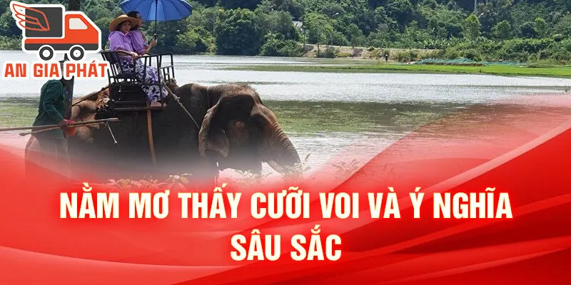 Nằm Mơ Thấy Cưỡi Voi: Dấu Hiệu Của Sự Đổi Thay 4 Nằm mơ thấy cưỡi voi và ý nghĩa sâu sắc